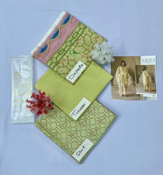 Salina Embroidery Cut Work (Set-Pack of 5 Suits) Category B Market Boy