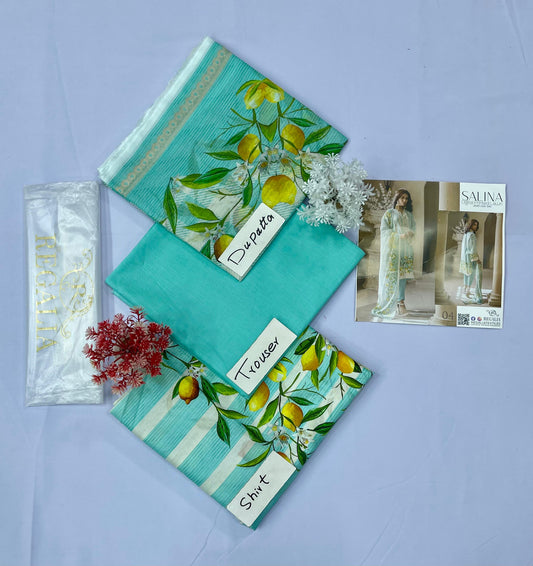 Salina Embroidery Cut Work (Set-Pack of 5 Suits) Category A Market Boy