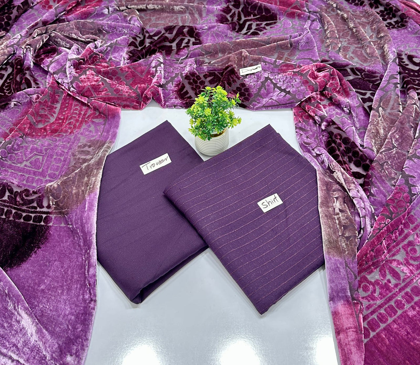 Valvet Strips Chamki With 3D Palachi Shawl (8 Suits)